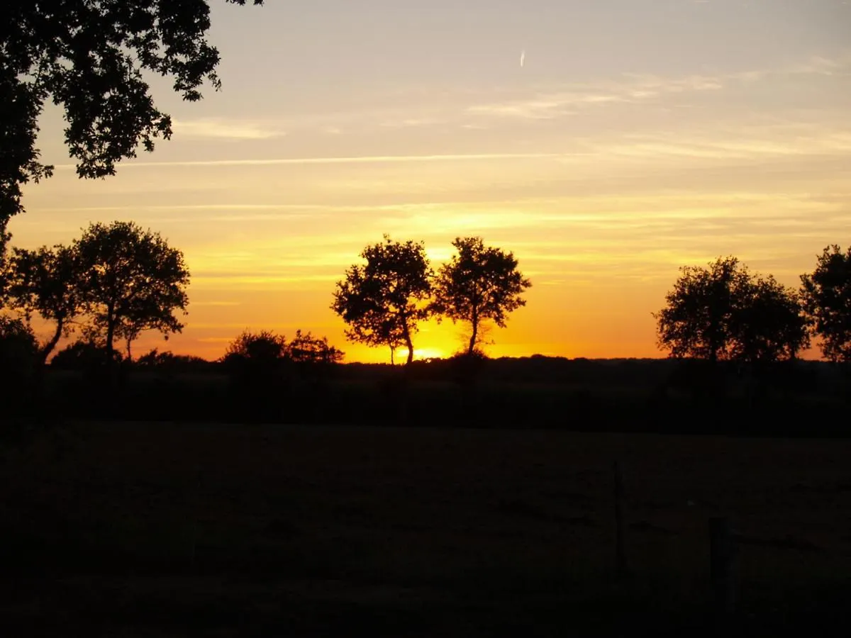 Camping Chez L'Habitant Noyal-Muzillac